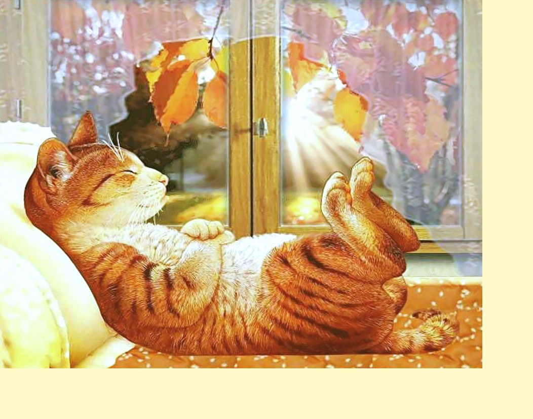 Доброе осеннее утро с рыжим котом