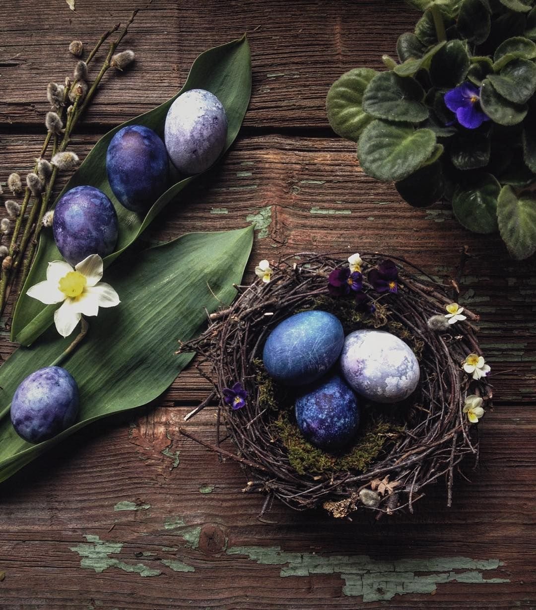 Жозефина Уолл картины знаки зодиака