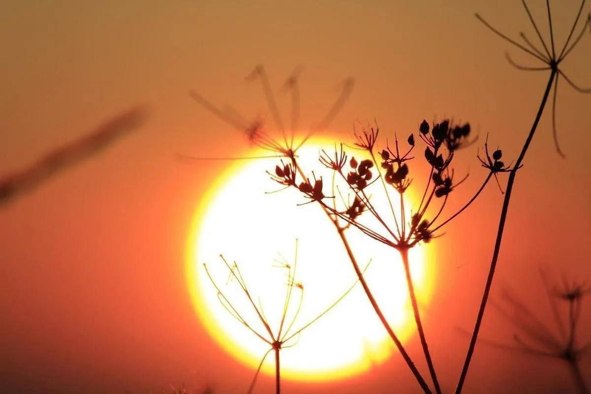 Равноденствие ритуалы