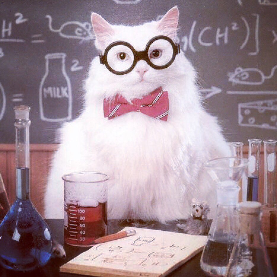 Кот Химик фото