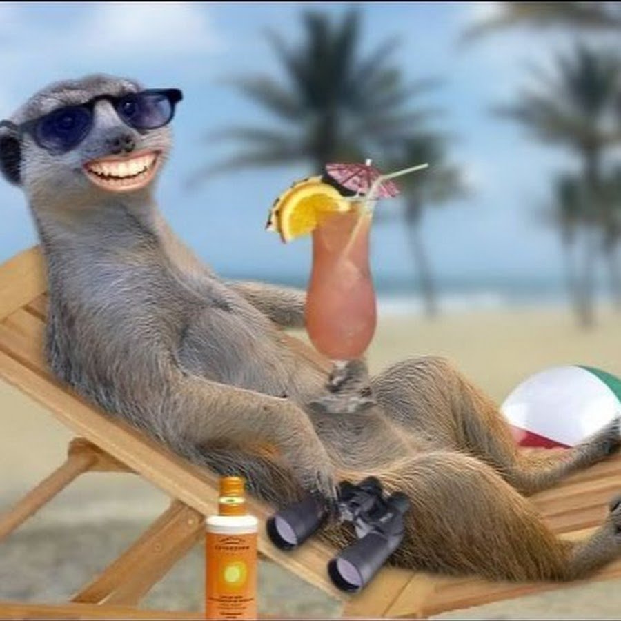 Отпуск смешные