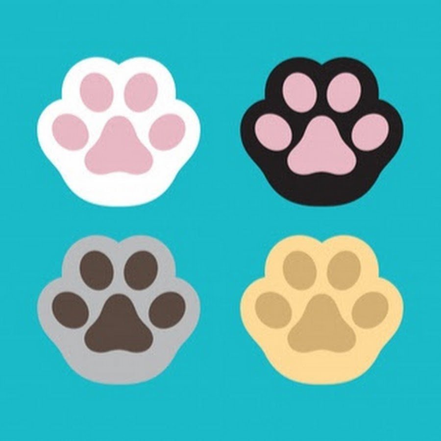 Собачий след