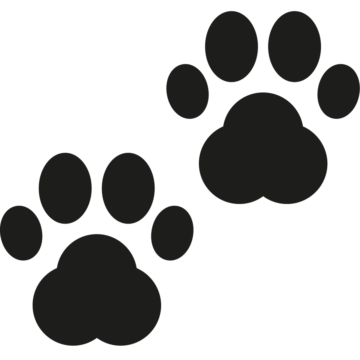 Отпечаток лапки котика