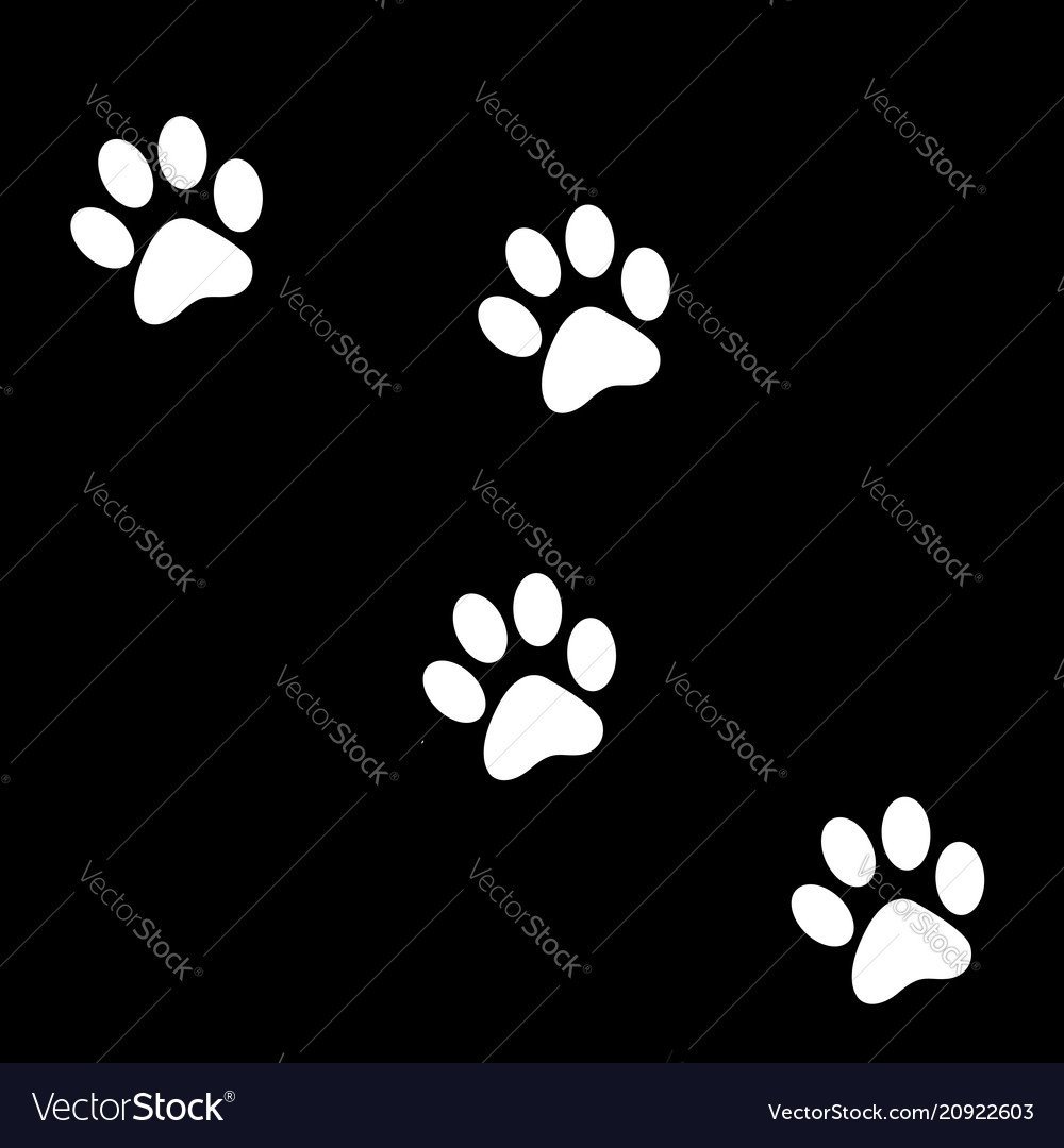 Собачий след