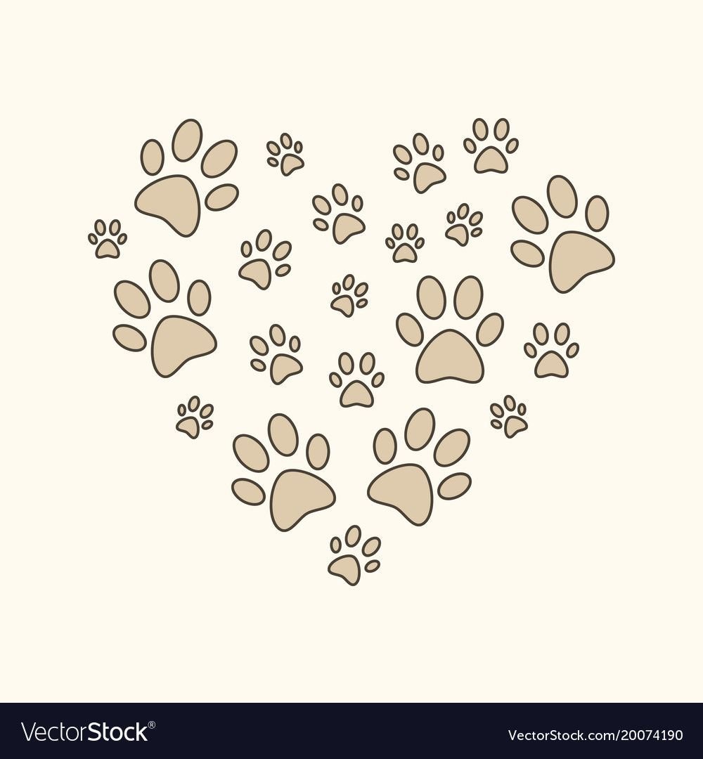 Лапки животных