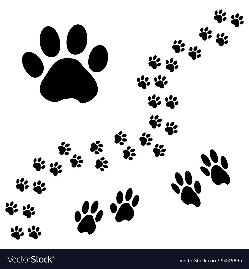 Кошкины следы лапок