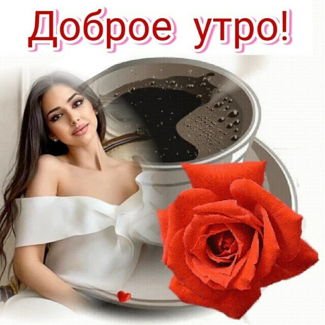 Доброе утро Белла