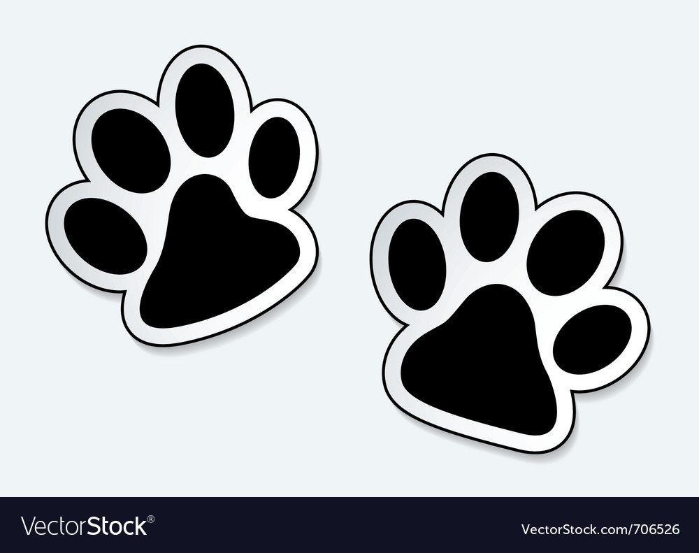 Отпечаток лапы собаки