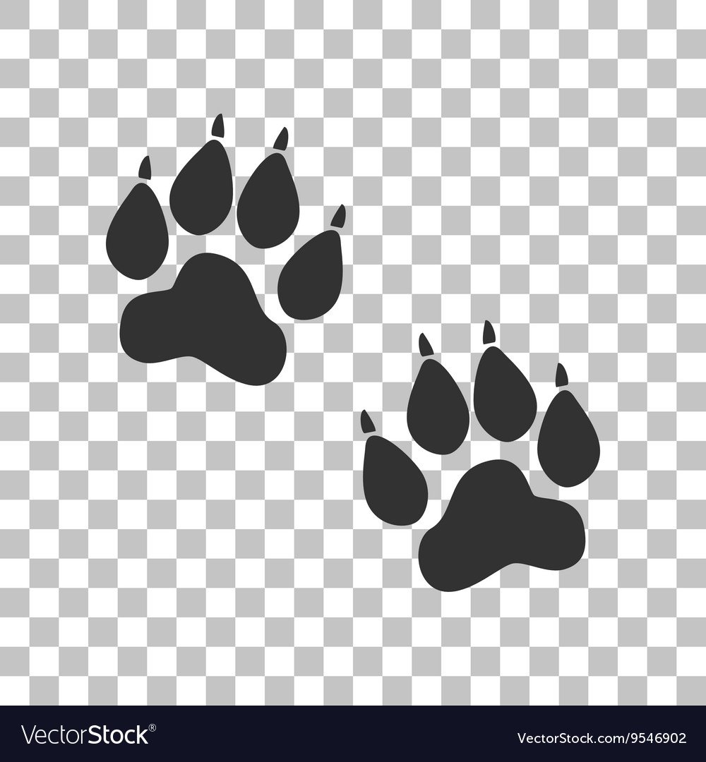 Следы зверей на белом фоне