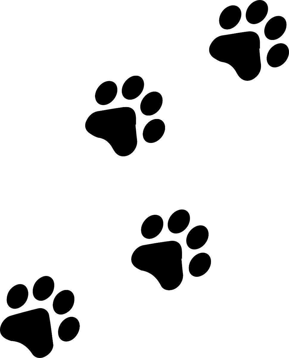 Следы животных текстура