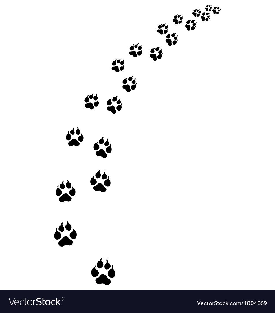 Иконка лапа нога собаки