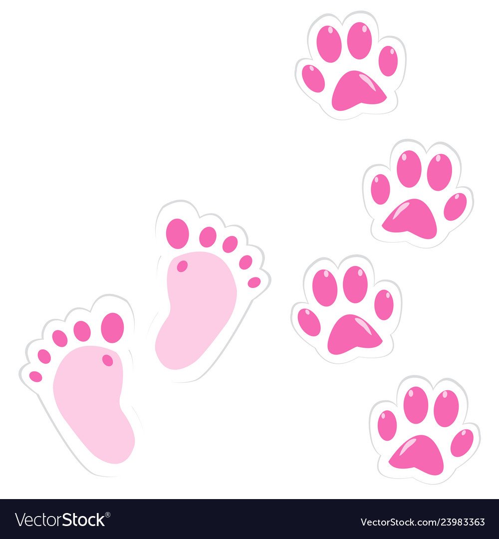 Отпечаток лапки кота