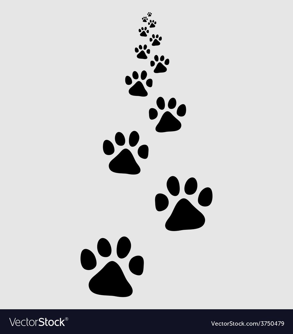 Рамка лапки