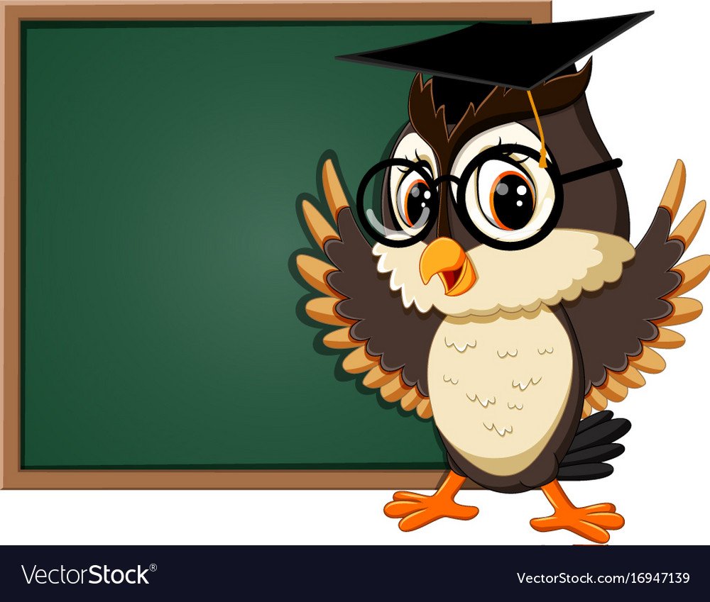 Инга Пальцер Совы