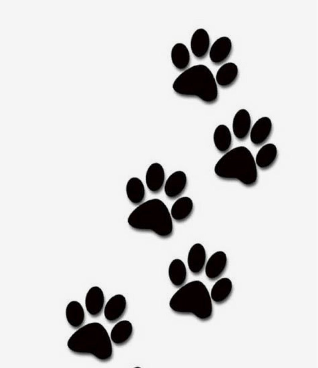 Кошачья лапка рисунок