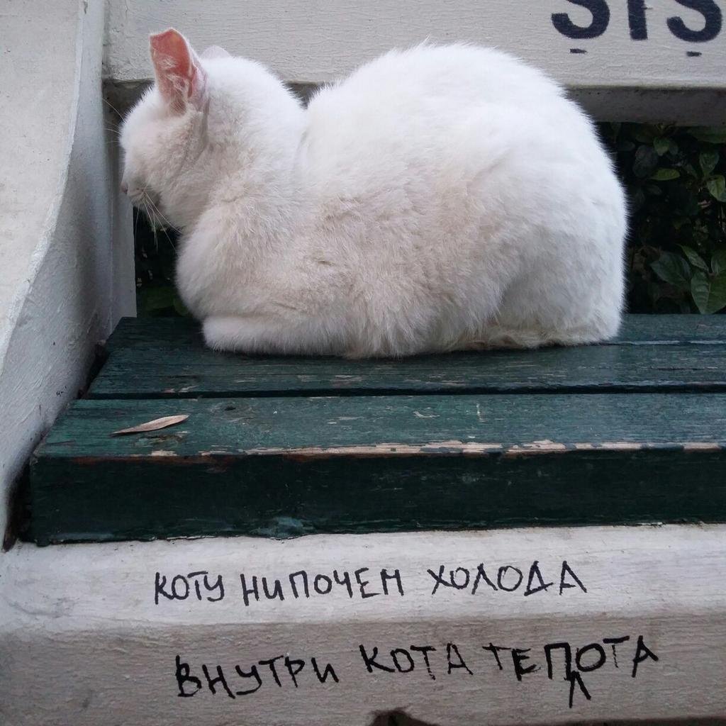 Я В отпуске картинки