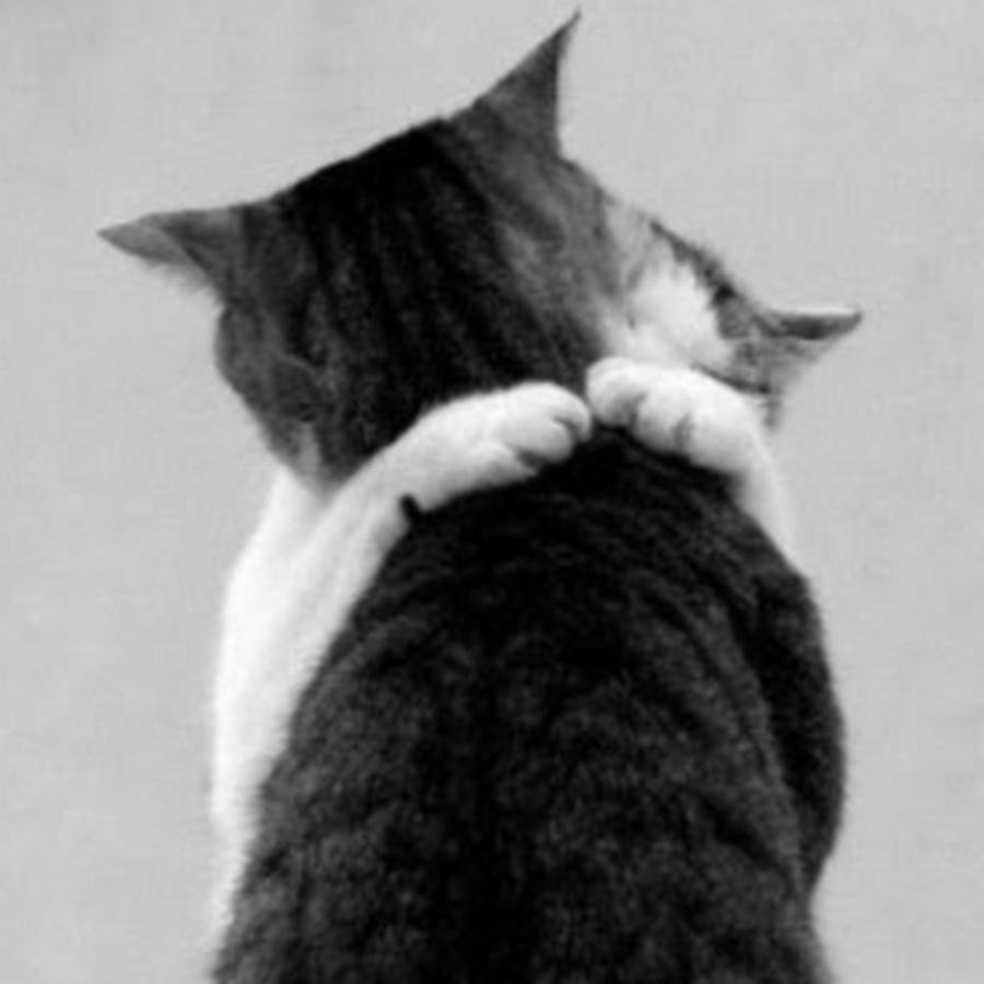 Смешные надписи на снегу