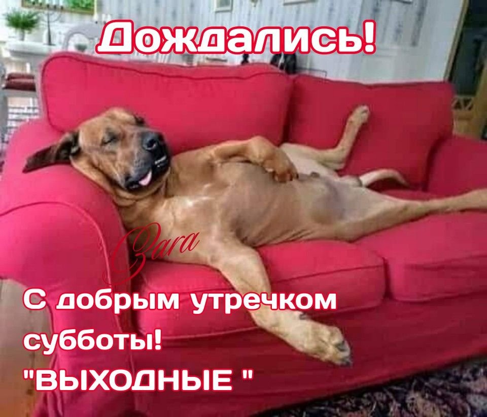 Позитивные надписи на стенах