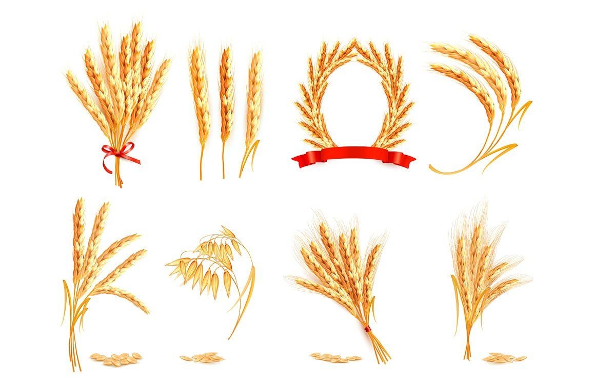 Ветка ржи контур