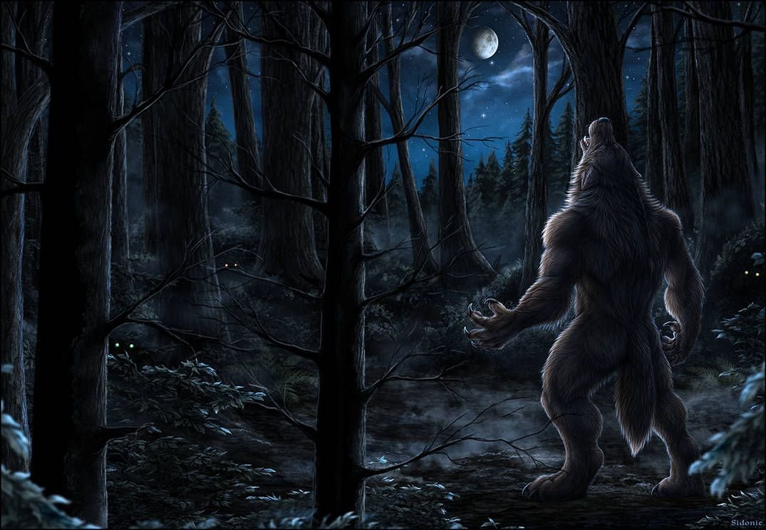 Волк Серега фото