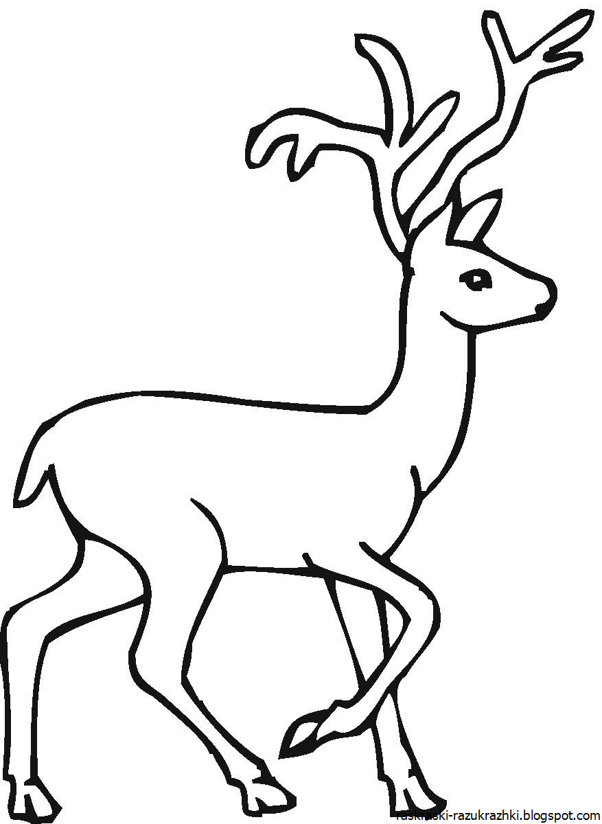 Стилизованное изображение оленя