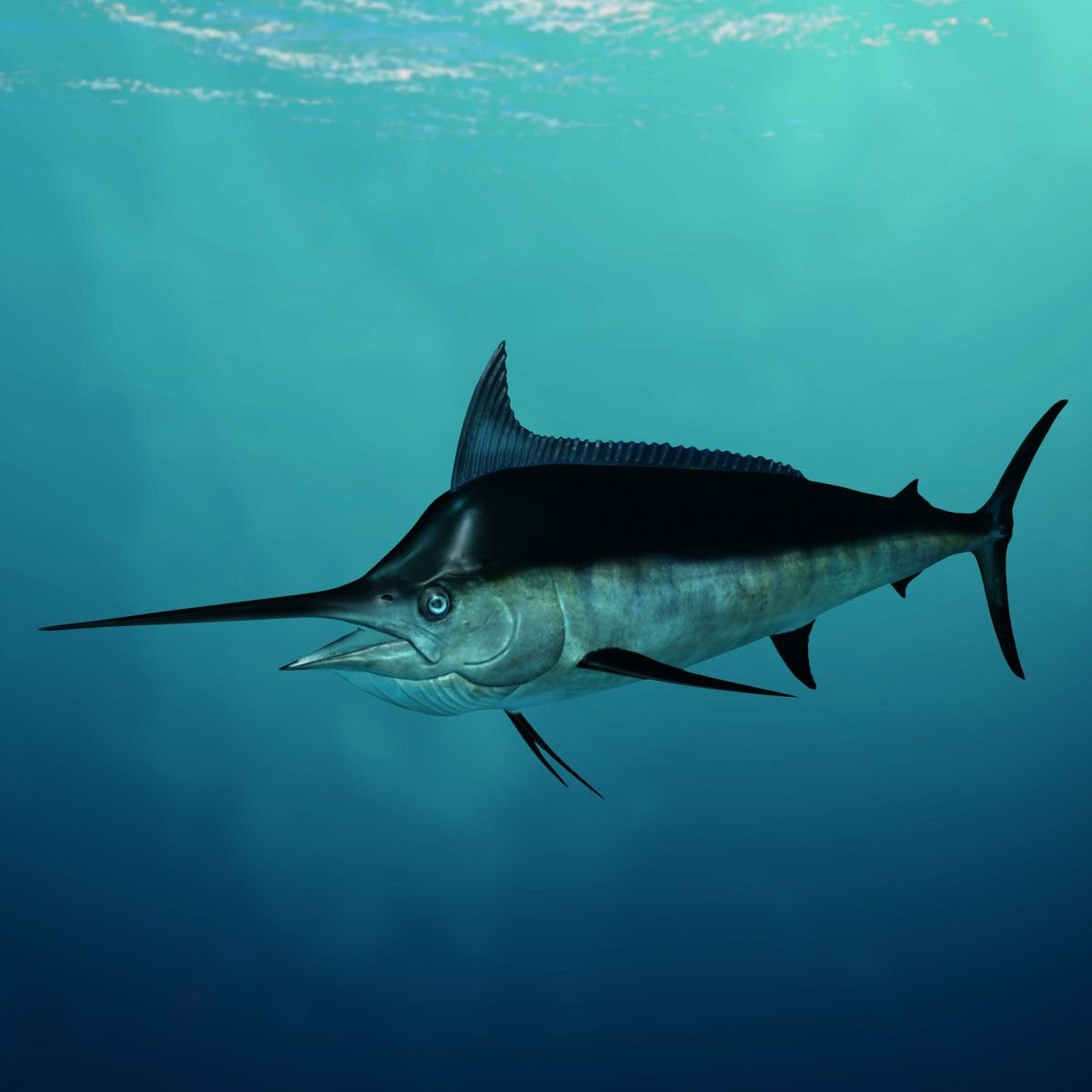 Атлантический голубой Марлин