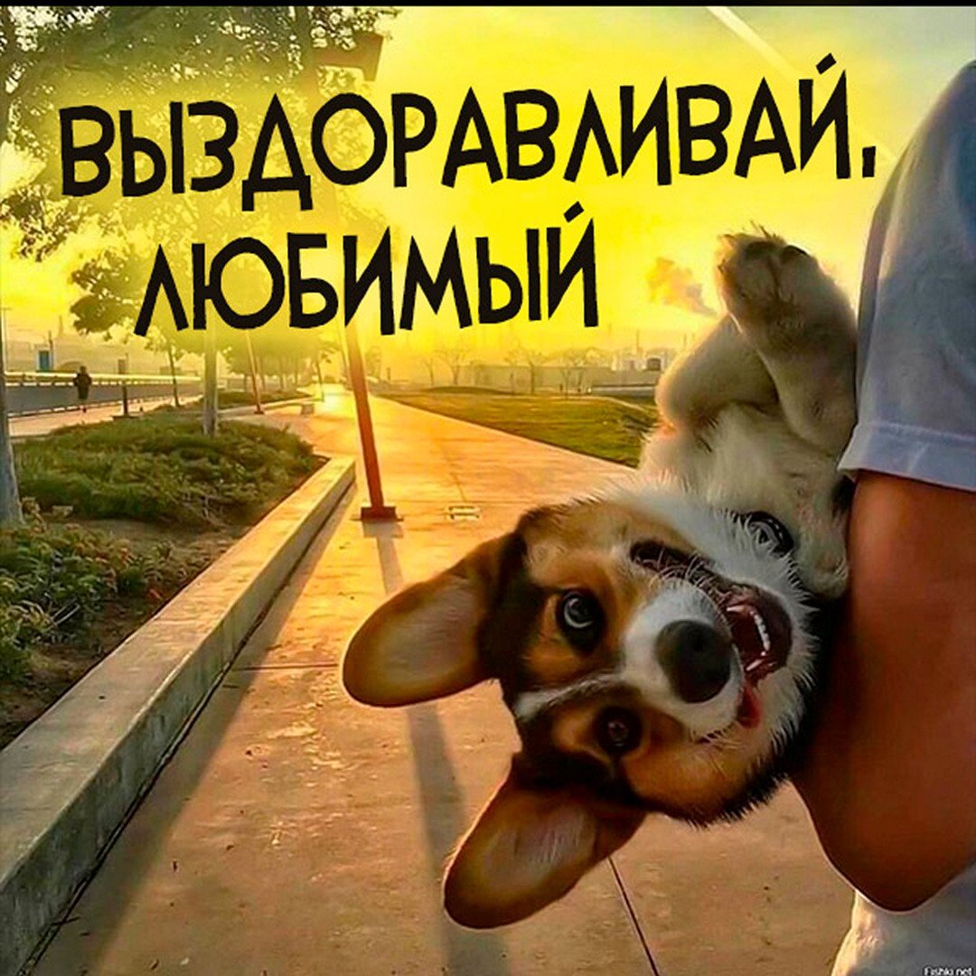 Отличной пятницы