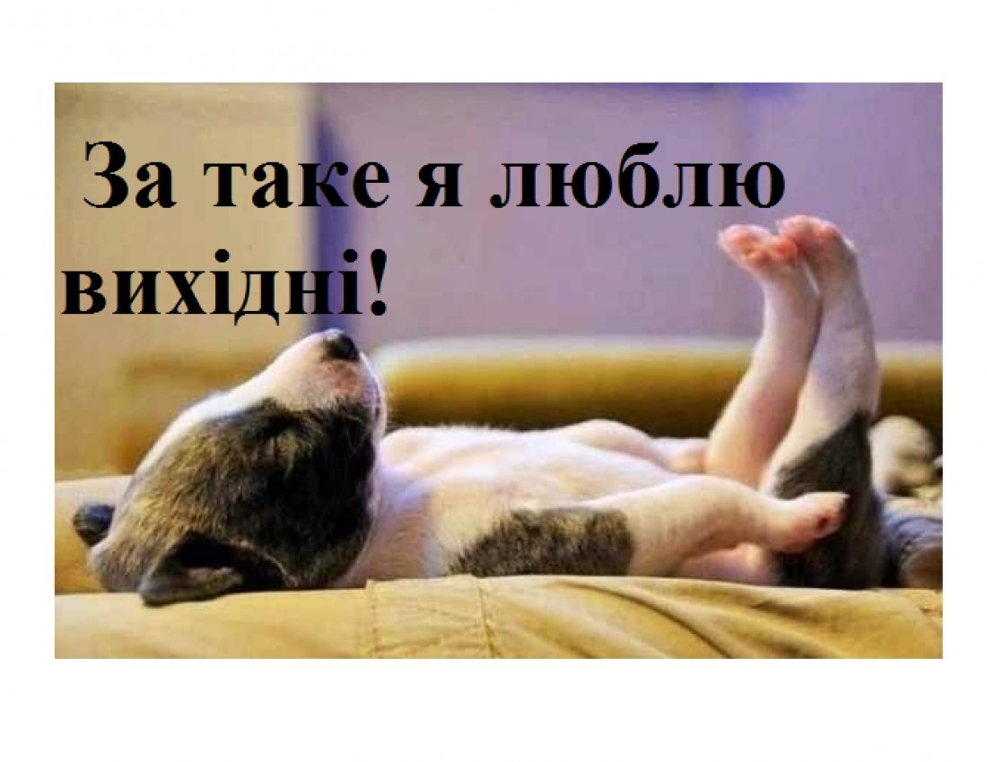 Щенок потягивается