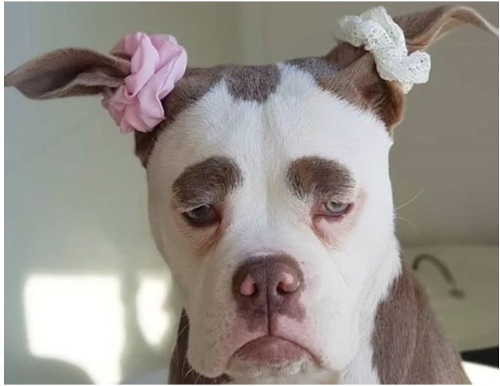 Некрасивых женщин не бывает бывают расстроенные и уставшие Богини