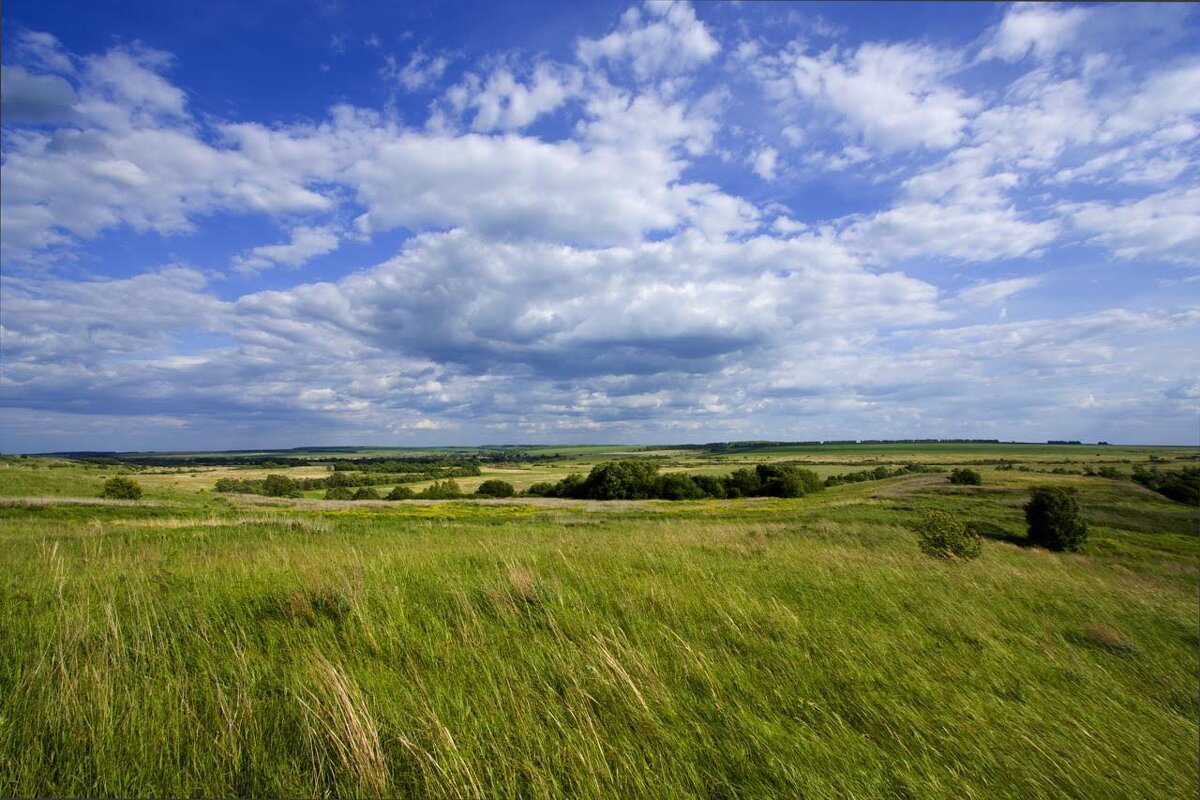 Слабоволнистая Степная равнина