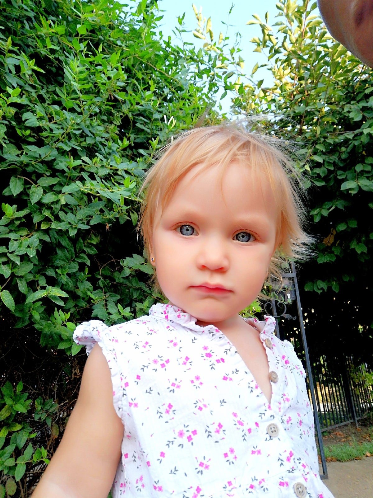 Разноцветные леденцы на палочке