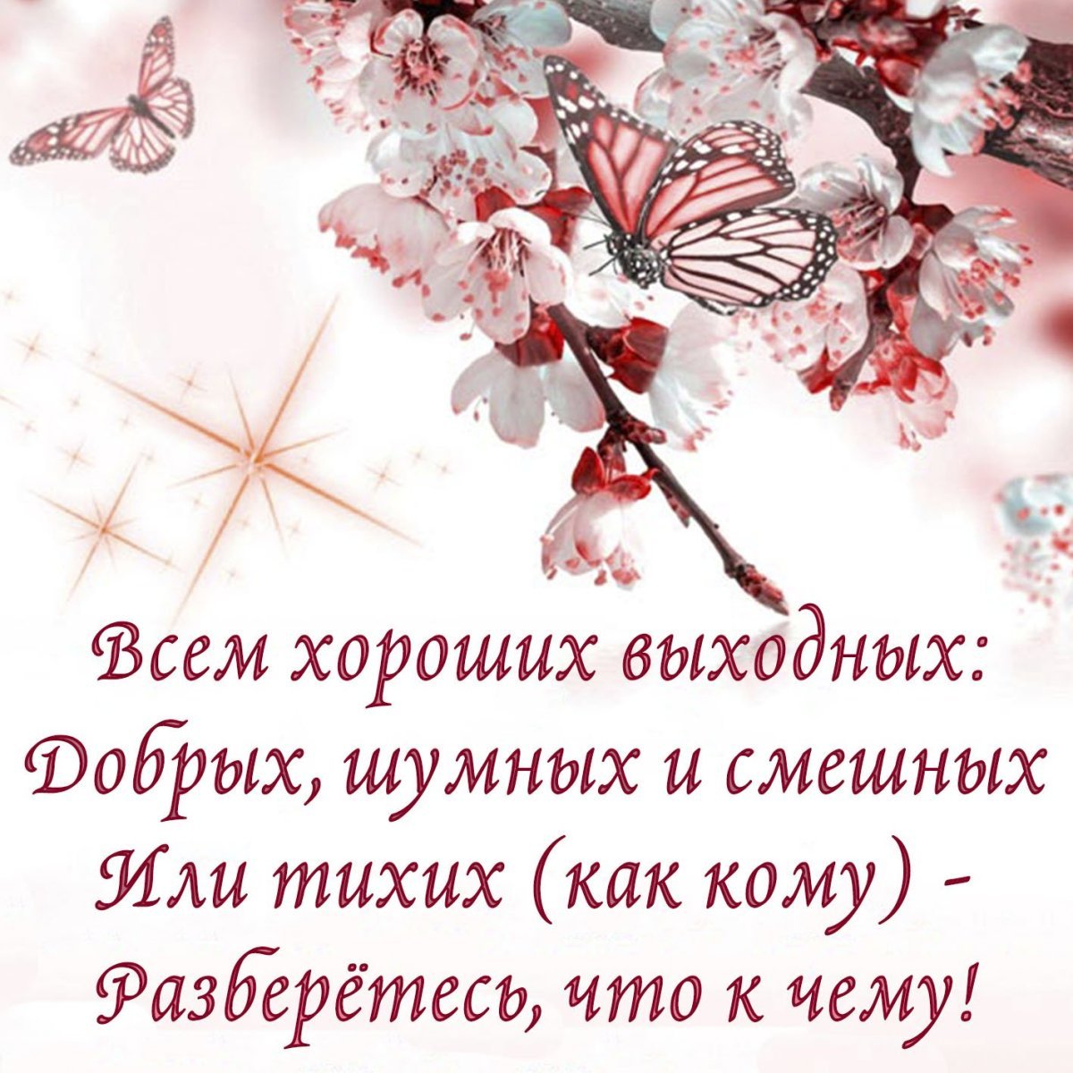 Ленивый бульдог