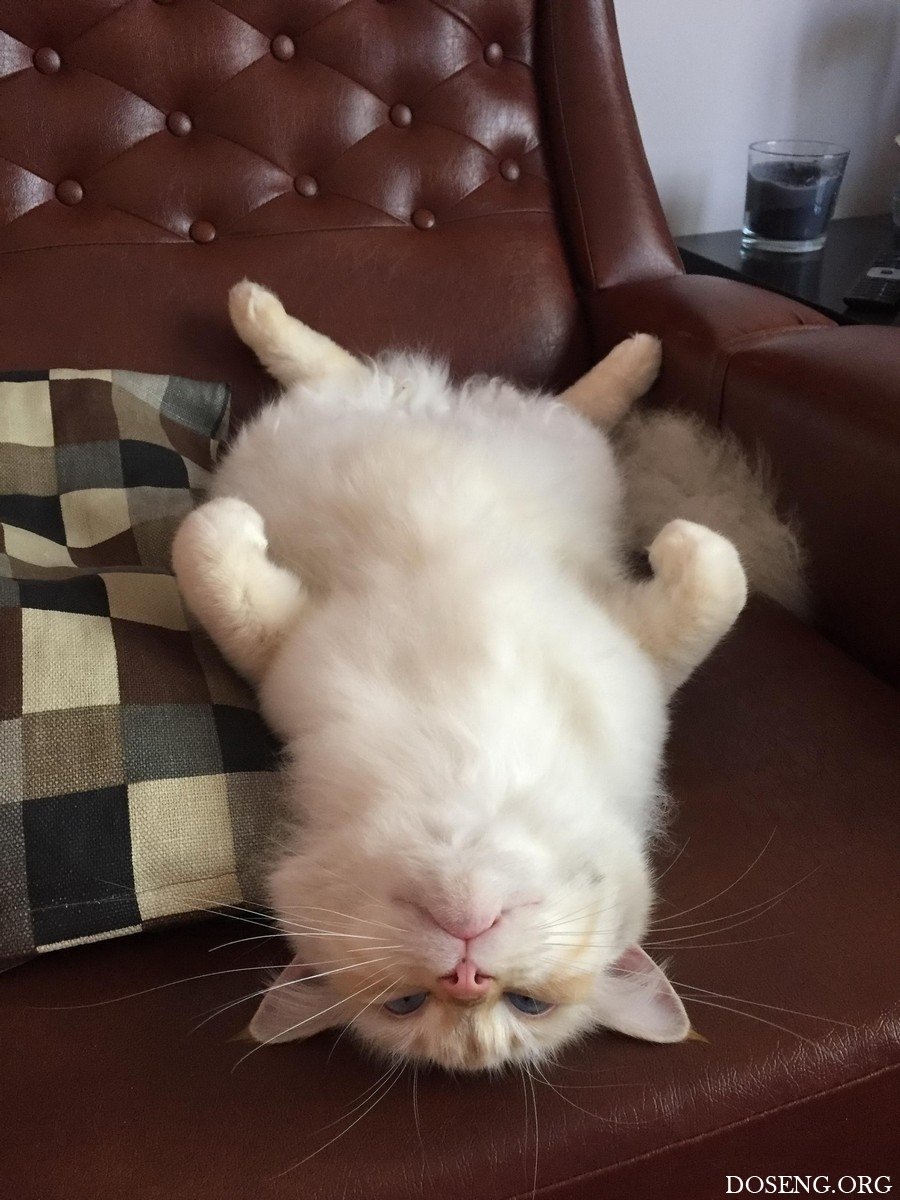 Выходные иллюстрация