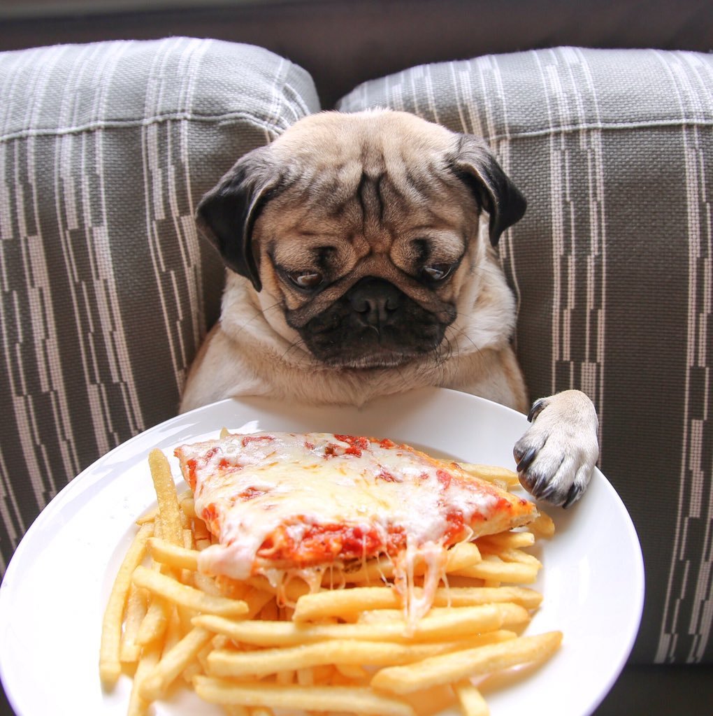 Прикольные картинки с едой