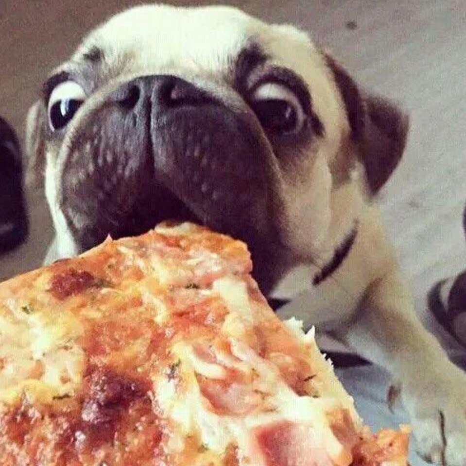 Зверята поварята