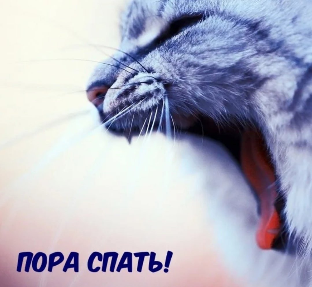 Пора спать Трэйс Морони