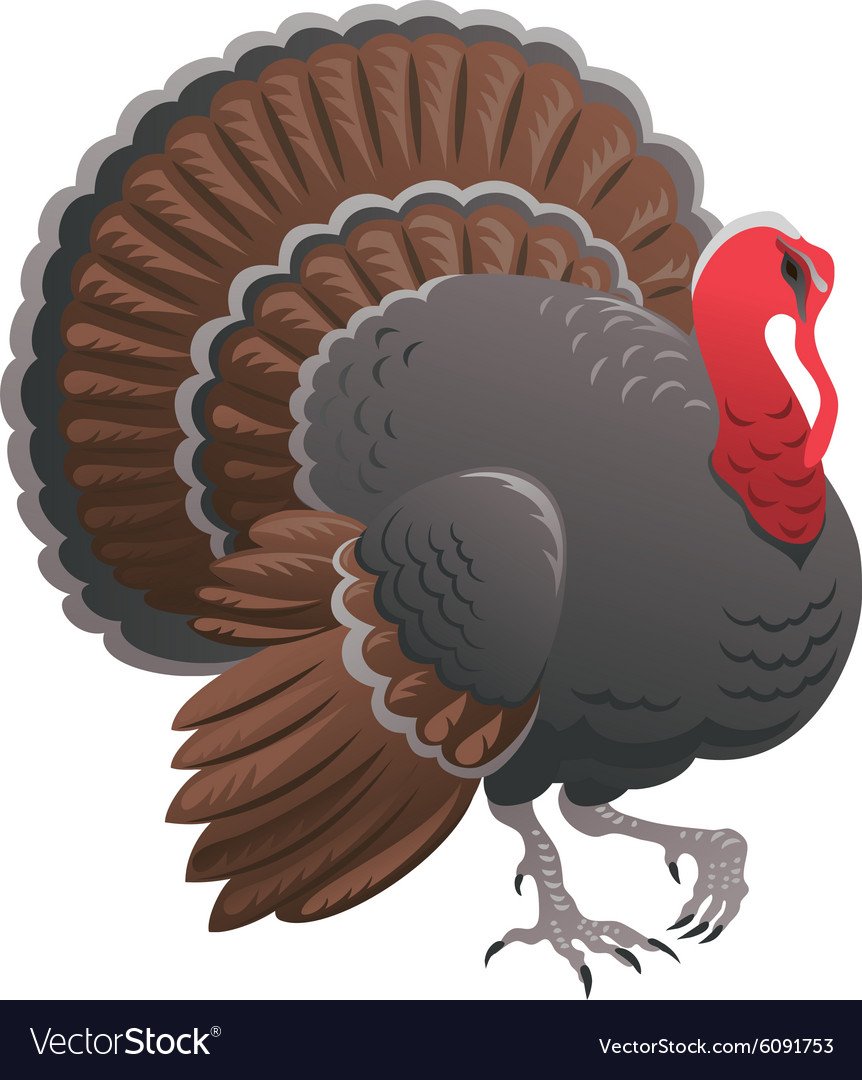 Индюк без фона для детей