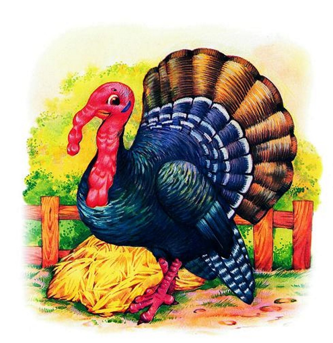 Индюк индюшка и индюшонок