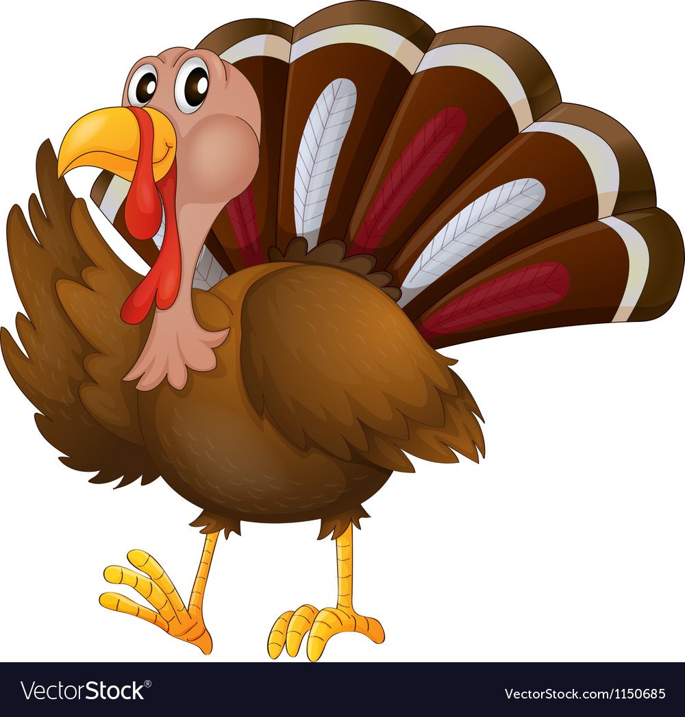 Домашние птицы