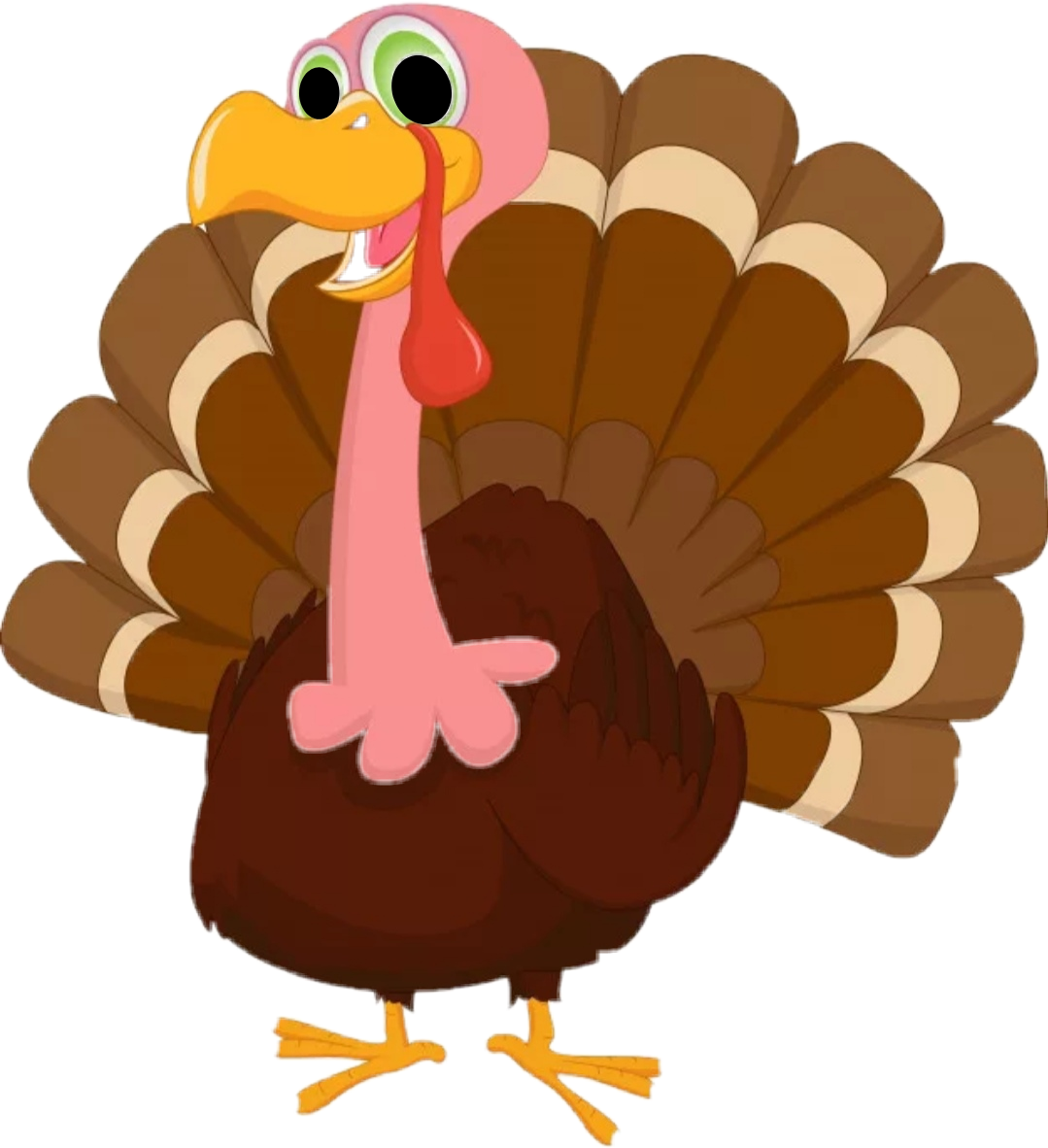 Индюк на белом фоне фоне