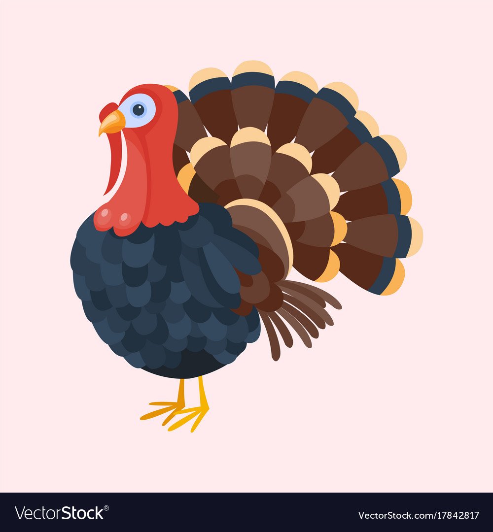 Индюк животные для детей карточки