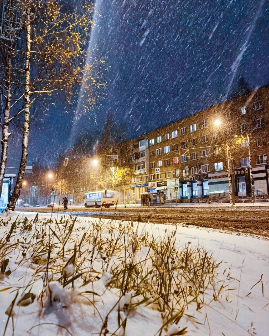 Храм Ленина и свободы Сыктывкар