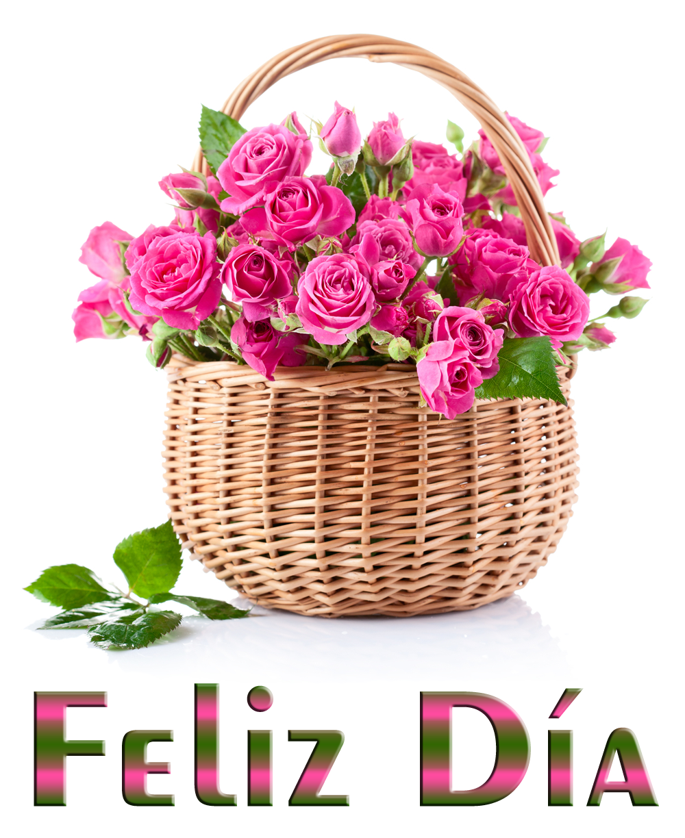 Цветы в корзине на белом фоне