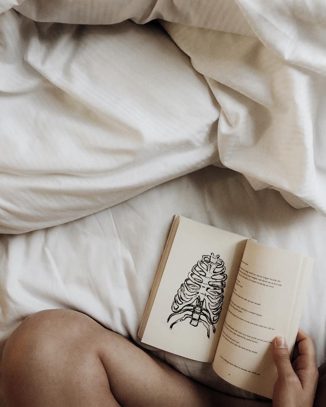 Книги Эстетика бежевый