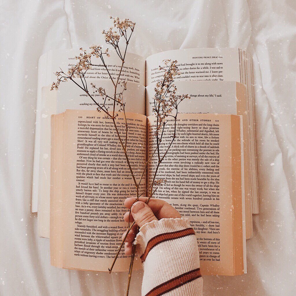 Книги Эстетика бежевый