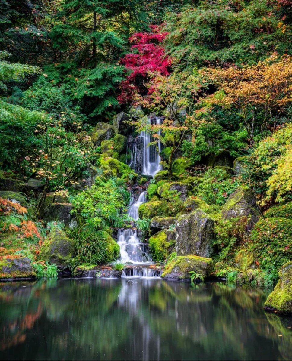 Красивая природа