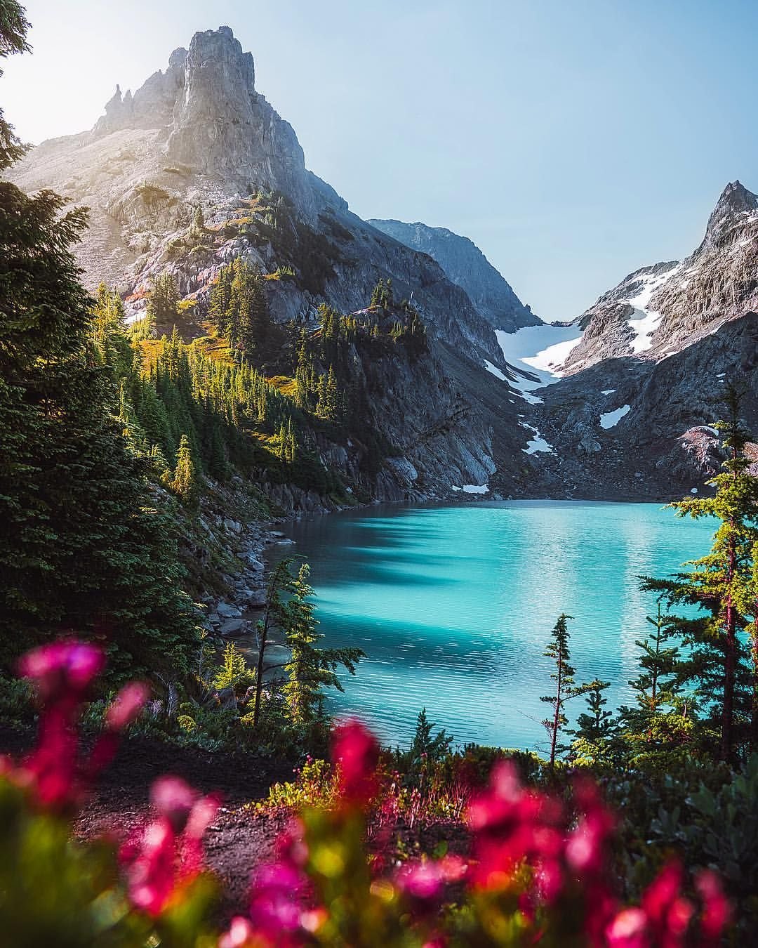 Чудесный мир природы