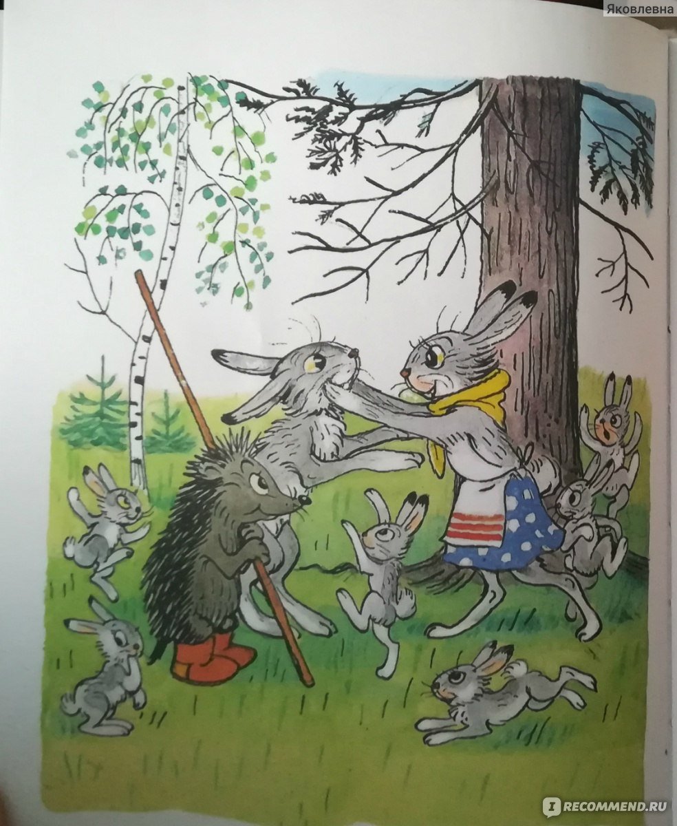 Владимир Сутеев палочка выручалочка