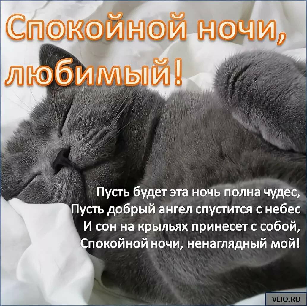 Ванильных снов