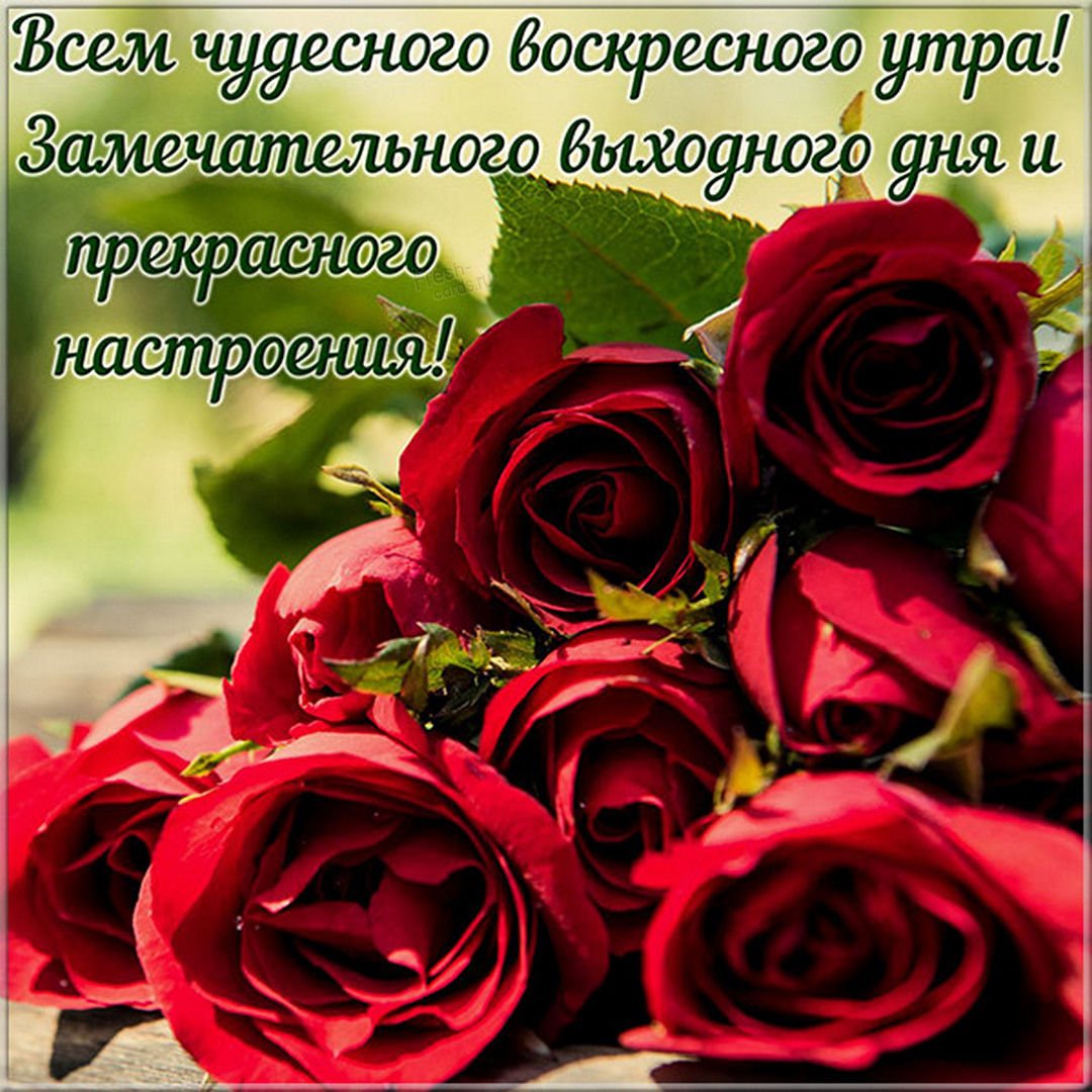 Открытки с добрым утром воскресенья
